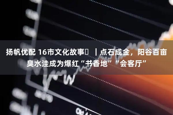扬帆优配 16市文化故事㊵｜点石成金，阳谷百亩臭水洼成为爆红“书香地”“会客厅”