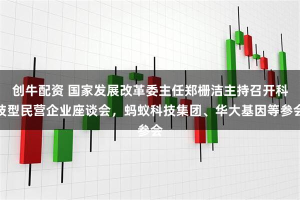 创牛配资 国家发展改革委主任郑栅洁主持召开科技型民营企业座谈会，蚂蚁科技集团、华大基因等参会