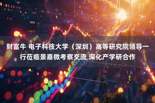 财富牛 电子科技大学（深圳）高等研究院领导一行莅临景嘉微考察交流 深化产学研合作