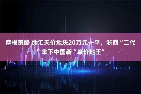 摩根策酪 徐汇天价地块20万元一平，浙商“二代”拿下中国新“单价地王”
