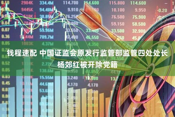 钱程速配 中国证监会原发行监管部监管四处处长杨郊红被开除党籍