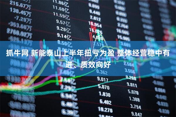抓牛网 新能泰山上半年扭亏为盈 整体经营稳中有进、质效向好