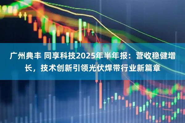 广州典丰 同享科技2025年半年报：营收稳健增长，技术创新引领光伏焊带行业新篇章